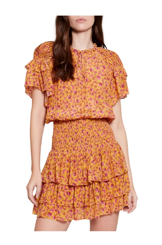 Gilner Farrar Zoe Dress In Ditsy Rose Floral